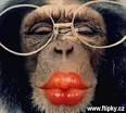 imagesCA12LXY0