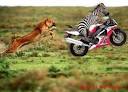 imagesCA5J2YEE